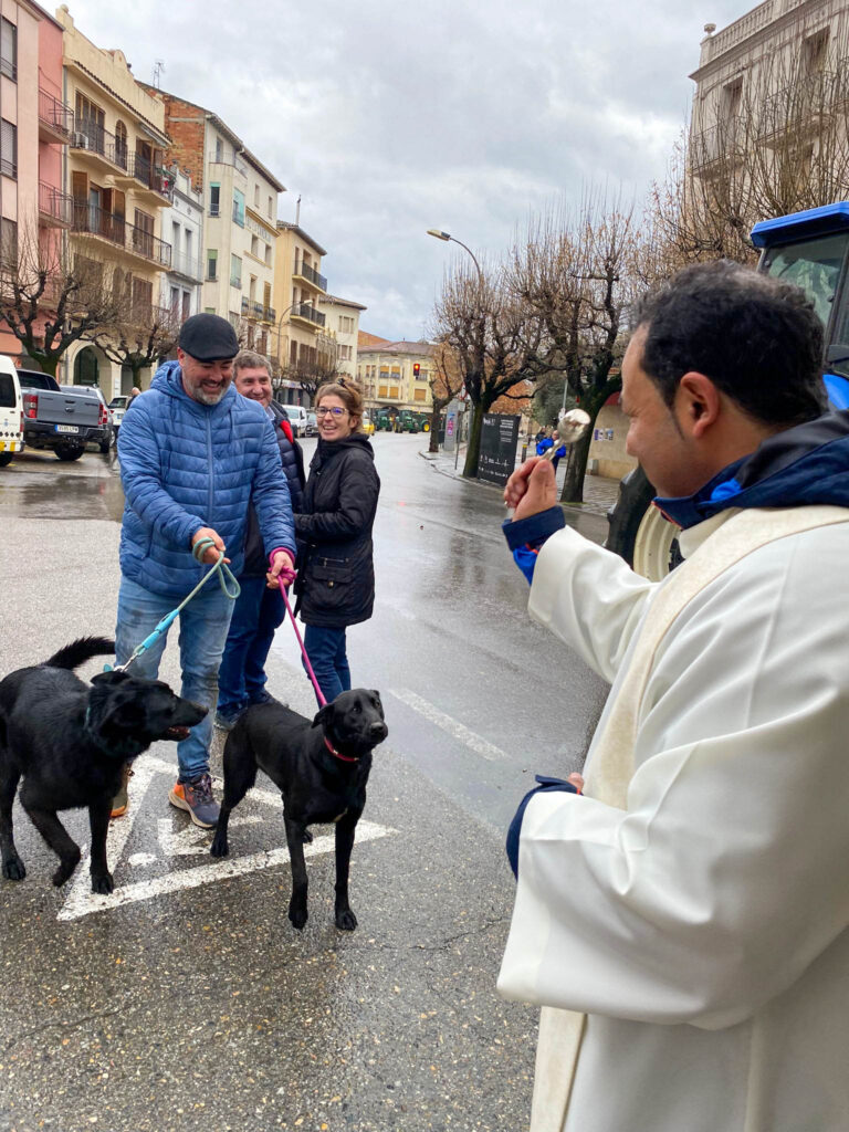 Benedicció dels animals Festa de St. Antoni Abat