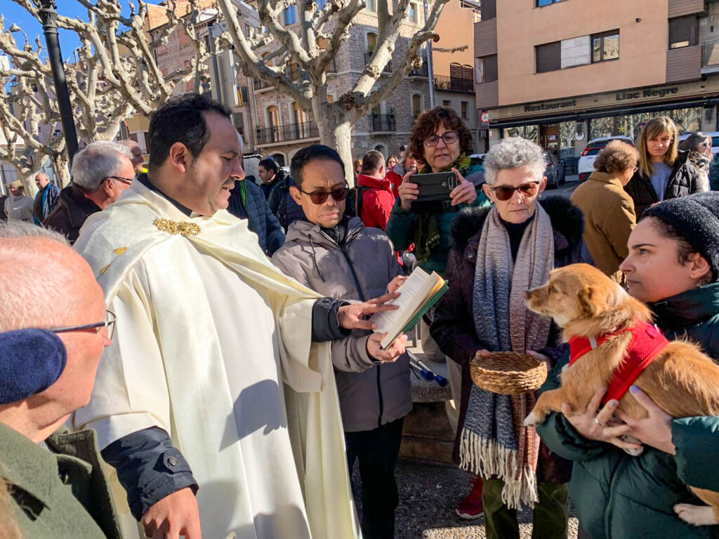 Memoria de Sant Antoni 2025